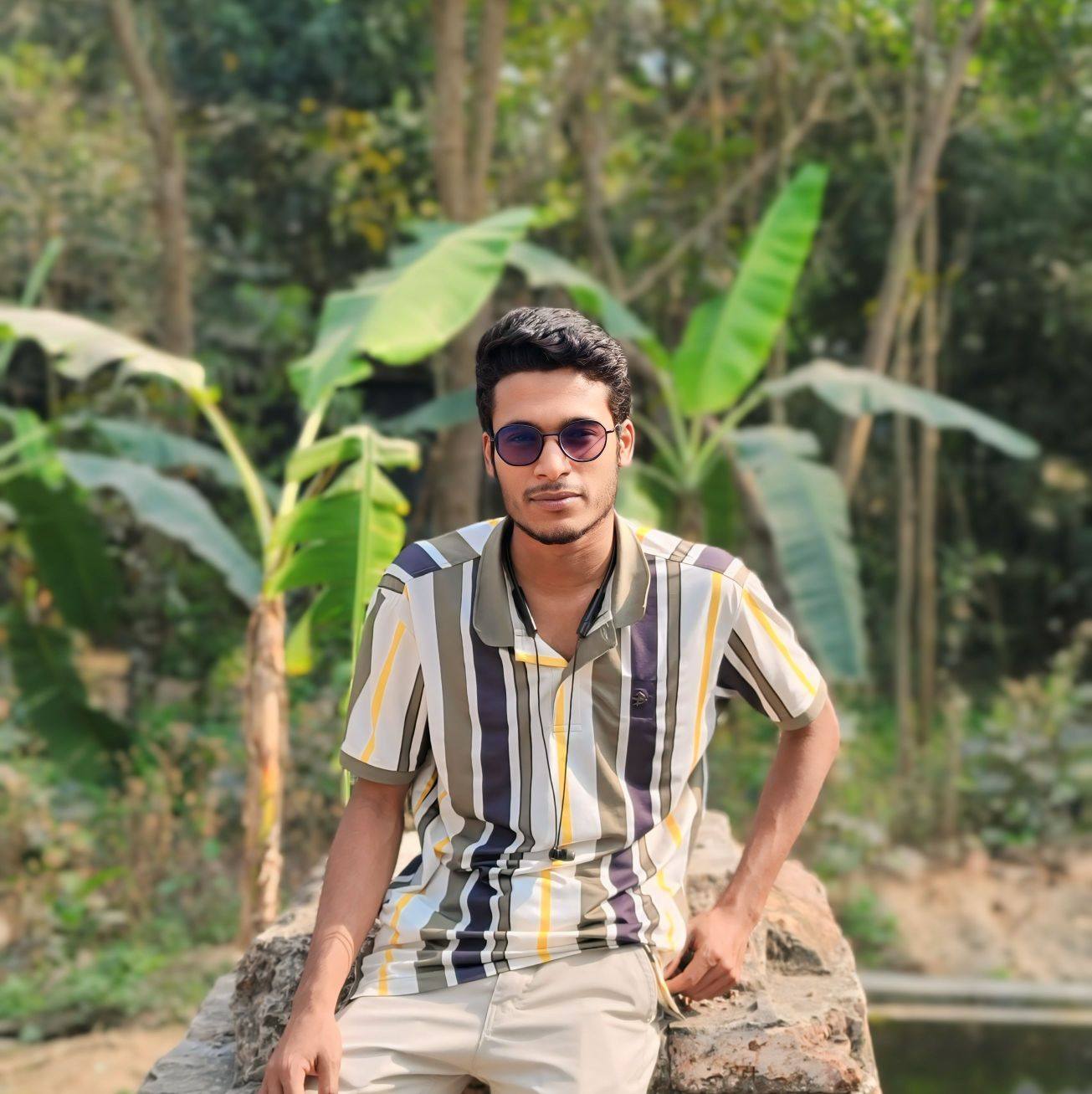 Avatar 5